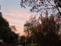-抚仙湖万达文华酒店