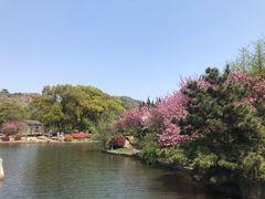-白马涧龙池景区