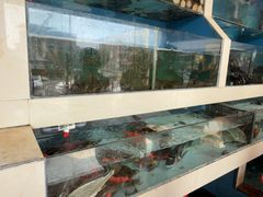 -原龙海鲜大排档(美食地标店)