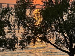 -宝安西湾红树林湿地公园