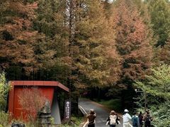 -山王坪喀斯特国家生态公园