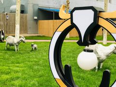 景观位-九十九顶毡房(阜石路店)