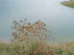 景点-广州市流溪河国家森林公园