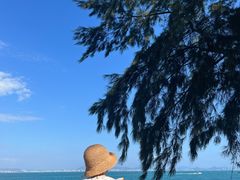 -三亚西岛海洋文化旅游区