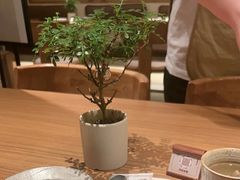 -CURRY YA 熟成咖哩專門店(深圳湾万象城店)