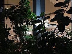 -gaga(深圳南山益田假日广场店)