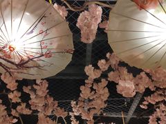 -九田家黑牛烤肉料理(华侨城店)