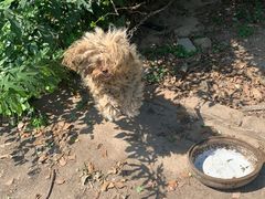 -翠茗农庄土菜馆