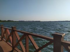 -丁香湖公园