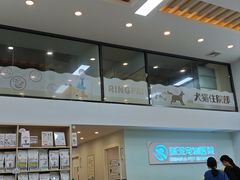 -瑞派紫金宠物医院24小时·骨科·中兽医·重症转诊中心(番禺大石院)