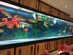 -弘安丽水温泉酒店