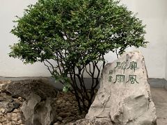 -碑林公园