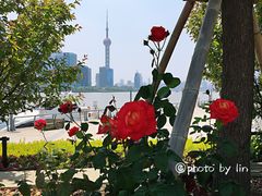 -公平路渡口(轮渡站)