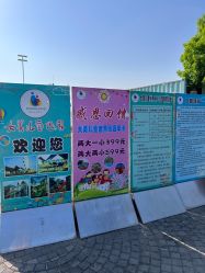-大美儿童世界(奥林匹克水上公园店)