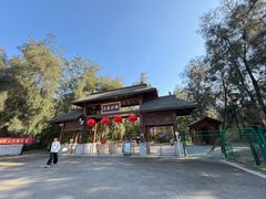 -大京沙滩