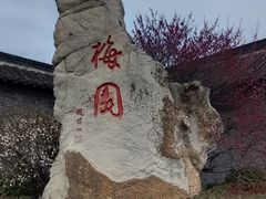 -梅园