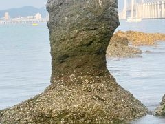 -黑石礁公园