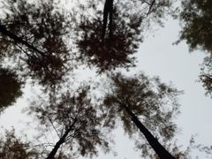 -晓港公园