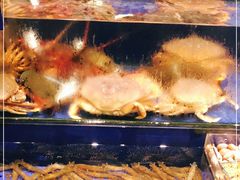 -高佳庄·舟山海鲜(海景旗舰店)