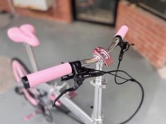 -DAHON大行折叠自行车(松江旗舰店)