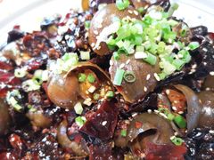 -鸿恩陶然大观园