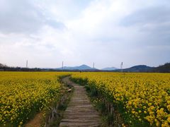 -西海岸生态观光园