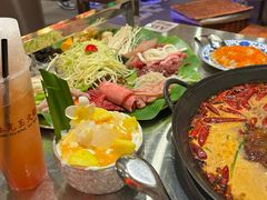 -朱光玉火锅馆(正弘城店)