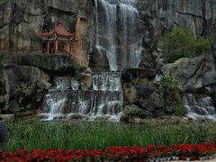 -金鸡山公园
