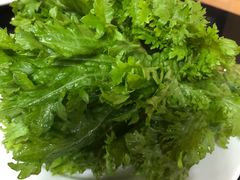 -银同牦牛肉火锅