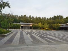 -金星公园