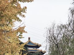 -重庆园博园