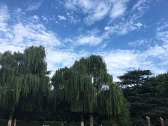 -西安交通大学(雁塔校区)