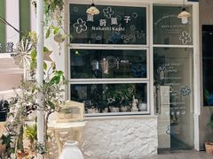 -溪岸路花鸟市场