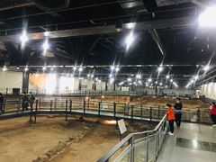 -南越王博物院(王宫展区)