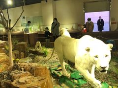 -陕西自然博物馆