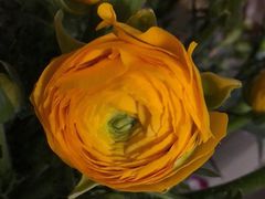 -嘉禾·悦享餐厅(八方汇店)