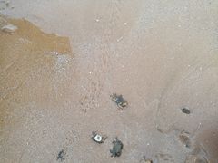 -青岛银沙滩