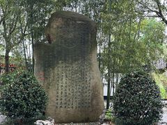 -南汇桃花村