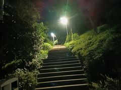 -飞凤山奥体公园