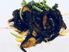 -重庆富力艾美酒店