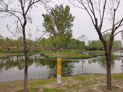 -东郊湿地公园