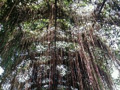 -乌山风景区