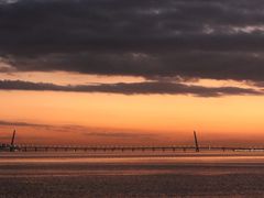 -红树湾(地铁站)