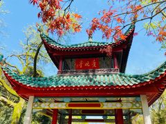 -岳麓山风景名胜区