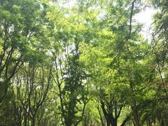 -唐城墙遗址公园