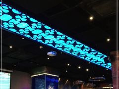 -bluefrog蓝蛙(皇庭广场店)