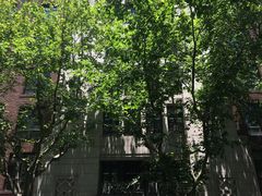门面-上海市静安区图书馆(新闸路馆)