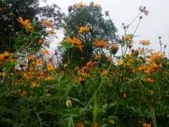 -艾溪湖湿地公园