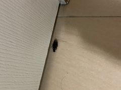 -怡莱精品酒店(苏州新区何山地铁站店)