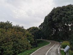 -火炉山森林公园